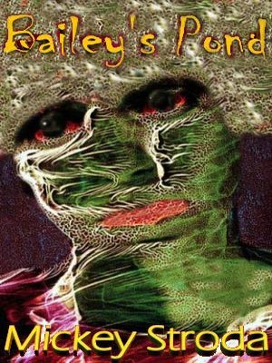 cover image of Bailey’s Pond